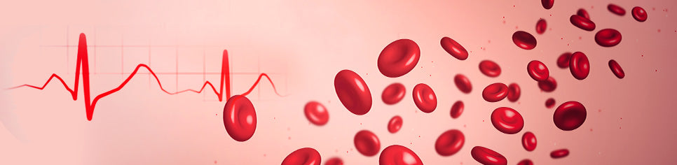 How to Increase Red Blood Cells Quickly with Foods and Lifestyle ...